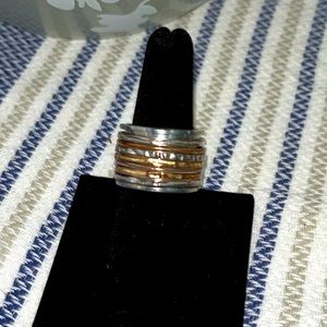 Elegant Silver and Gold Spinner Ring